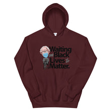 Load image into Gallery viewer, Bernie Hoodie